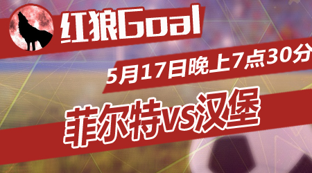 网站或指定 网站或指定